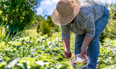 Feira de Inovação e Empreendedorismo Rural do Sertão Produtivo promove desenvolvimento e cultura em Caetité